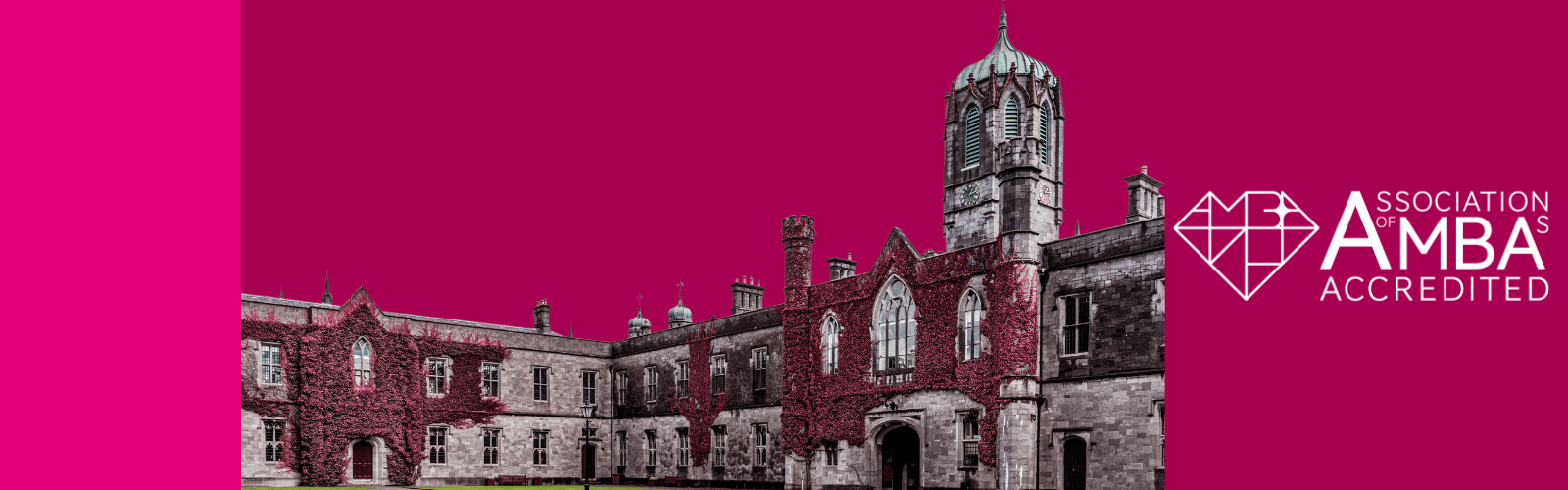 University of Galway MBA 