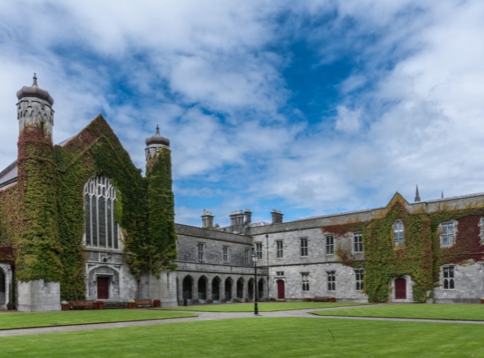 Honorary and Adjunct Appointments 