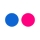 Flickr Icon