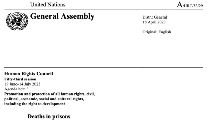 Cover of UN Special Rapporteur&rsquo;s Report on Deaths in Prison
