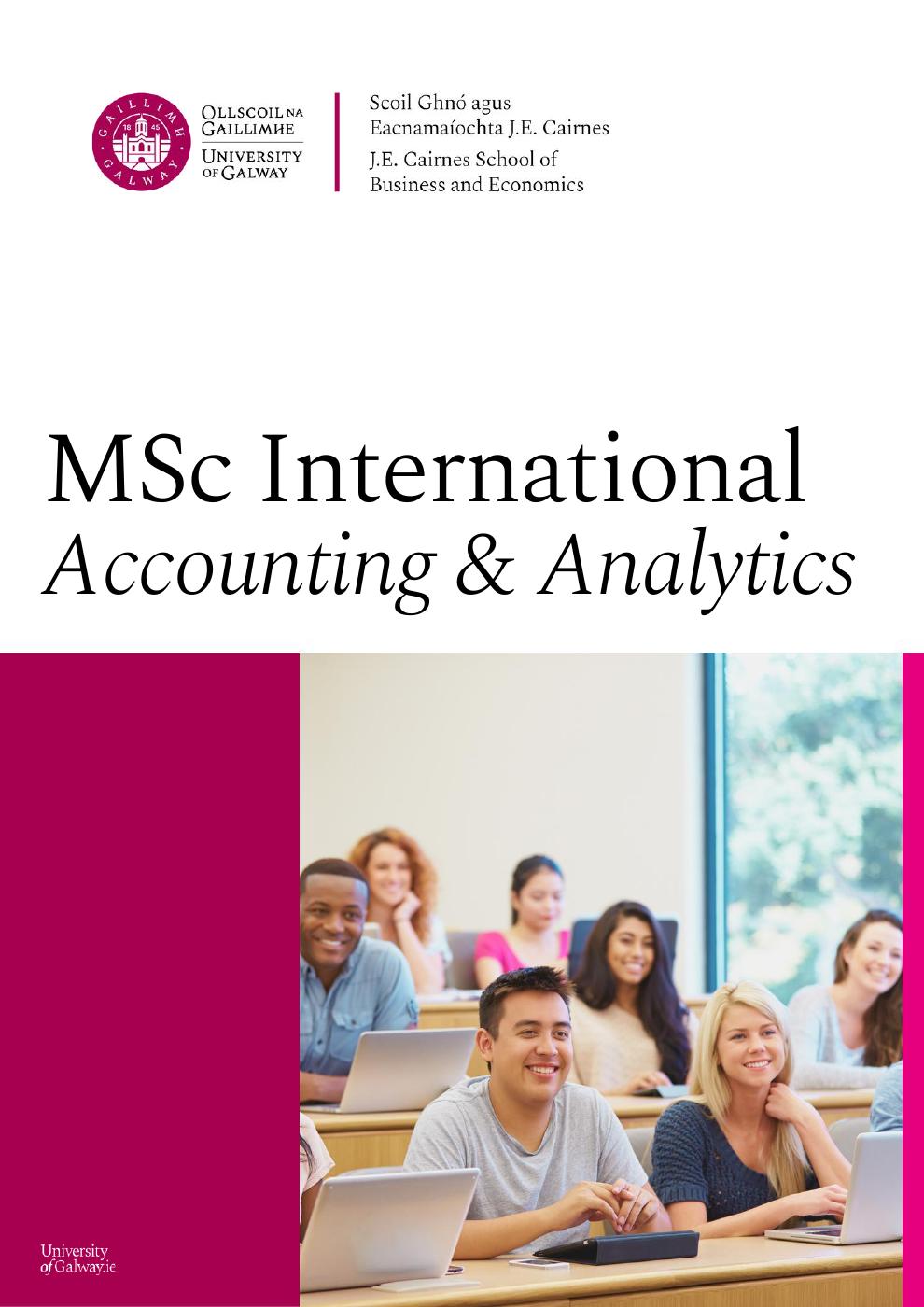 Digital Brochure MSc International Accounting & Analytics 2024